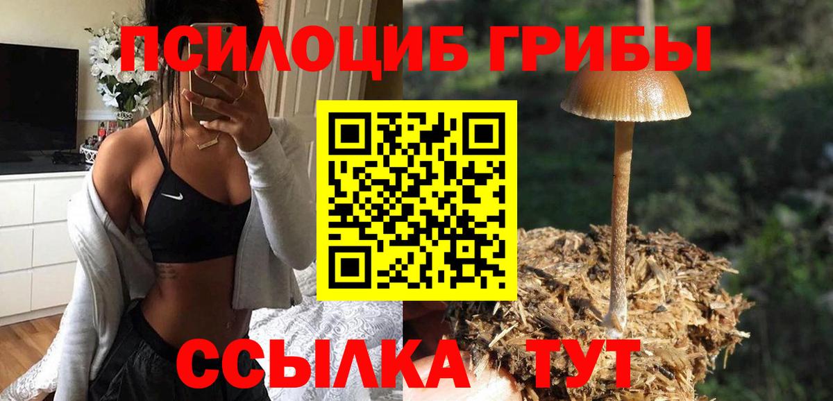 Псилоцибиновые грибы GOLDEN TEACHER Азов