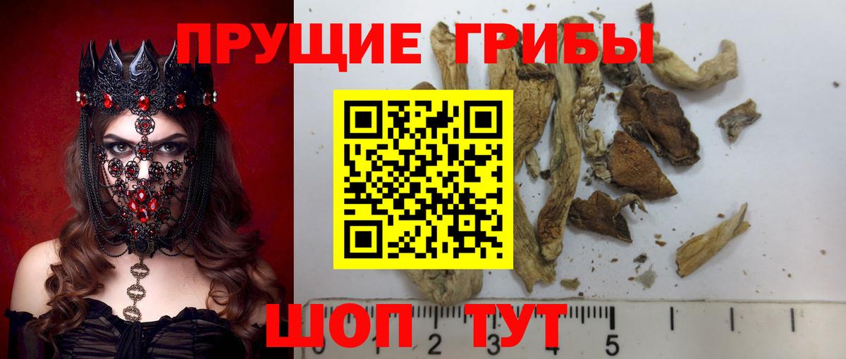 Азов  Галлюциногенные грибы Psilocybe  Галлюциногенные грибы ЛСД  Вход с VPN 